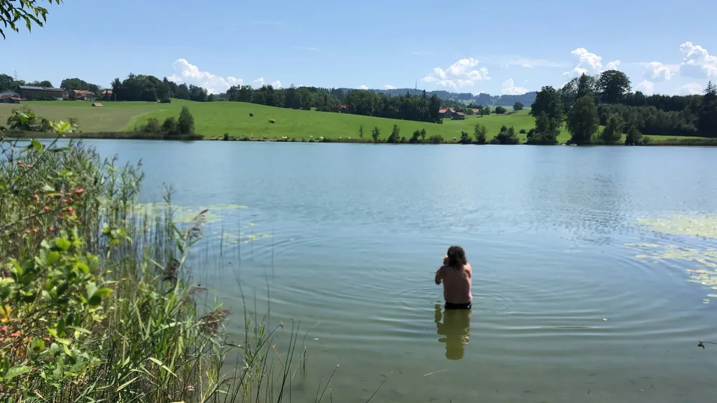 Schafswiese im Allgäuer Seenland