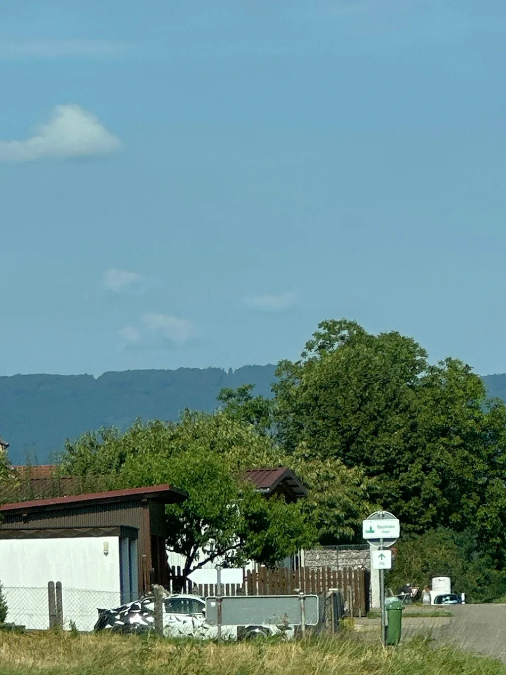 Foto del profilo di Berry