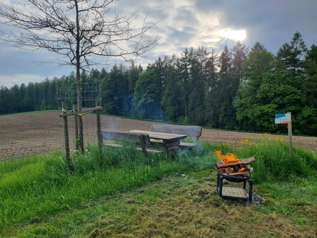 Wiese am Hirschgehege