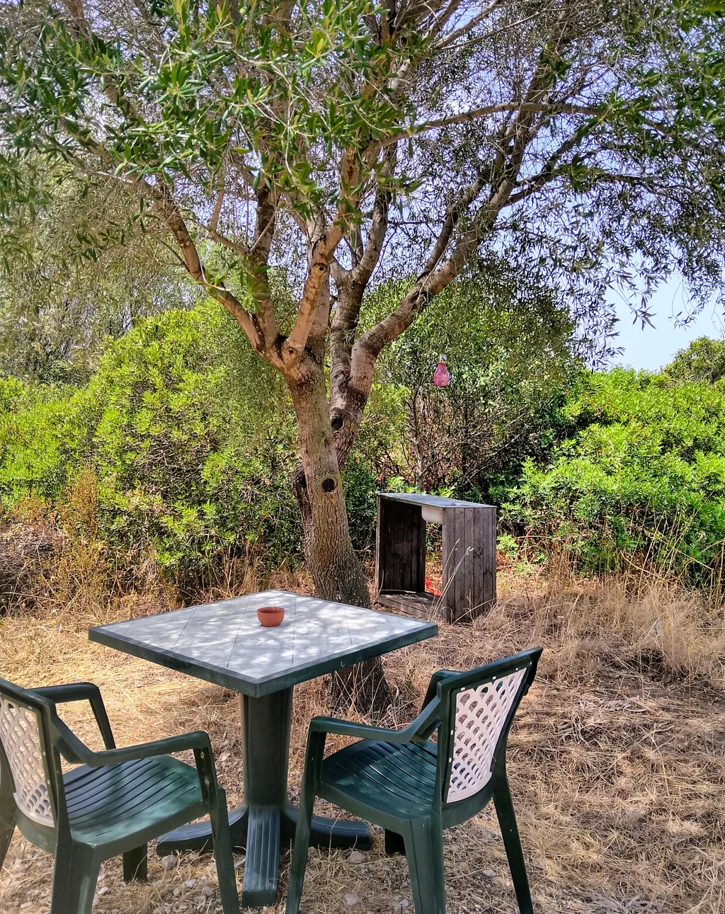 Campagna mediterranea a tre km dal mare