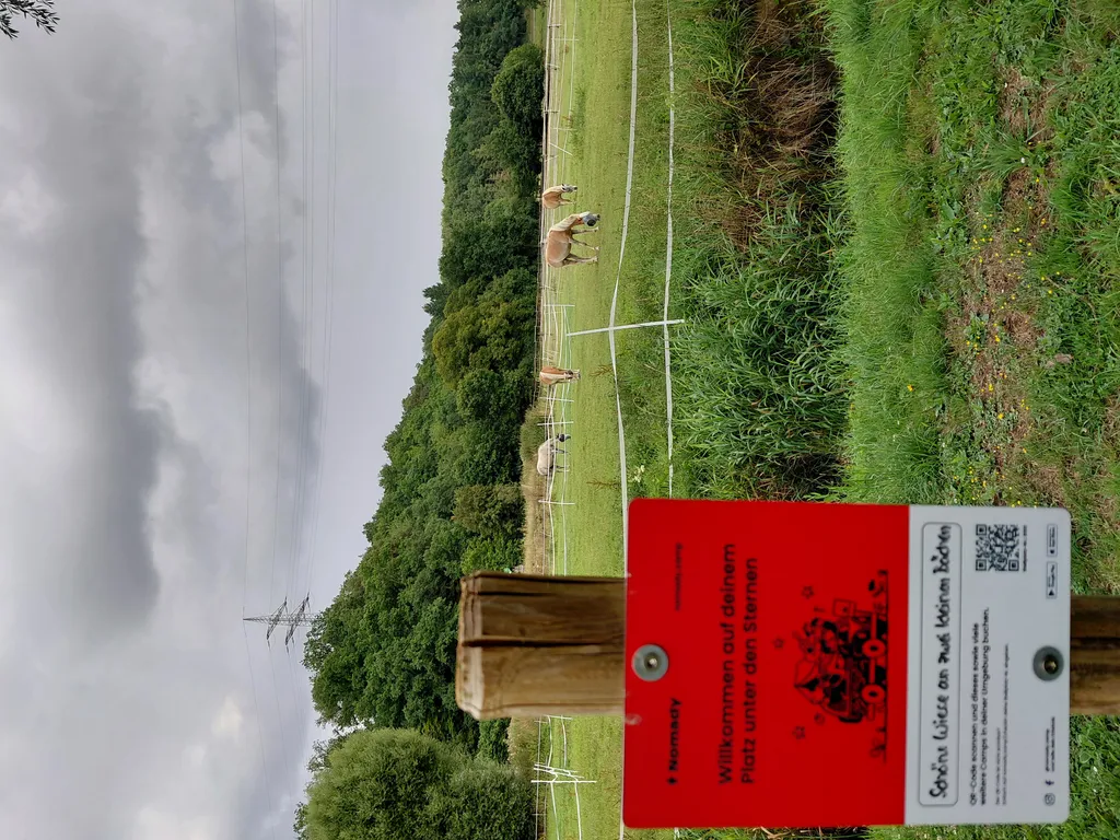 Bild von Elke für den Spot 1513