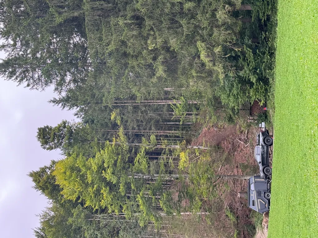 Bild von Marcel für den Spot 547