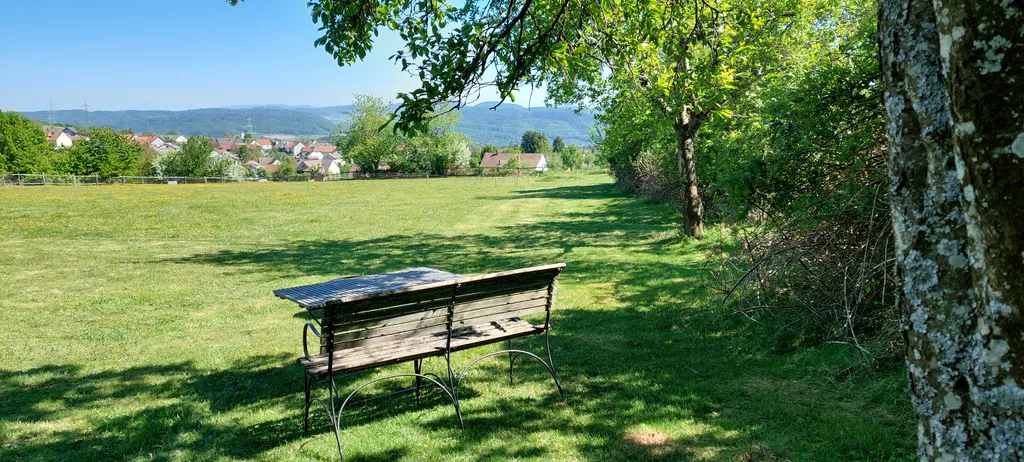 Plätzchen an der Weide mit Alpensicht
