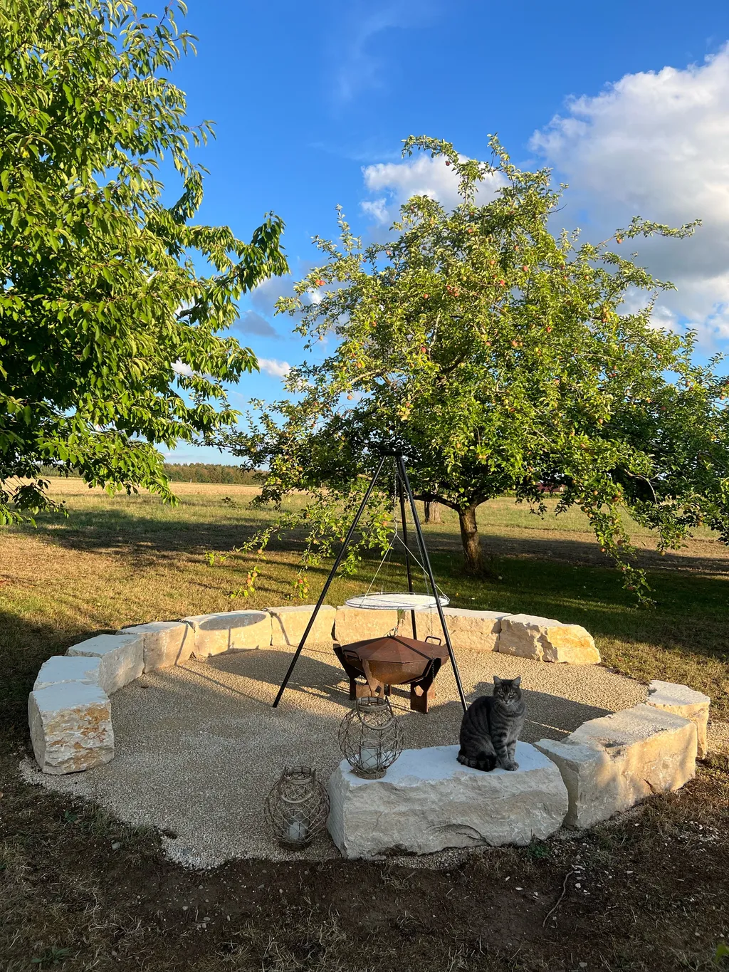 Obstwiese mit Weitblick am Waldrand