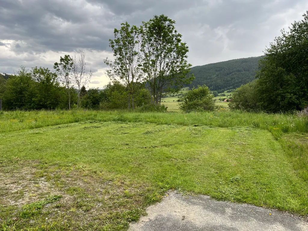 Naturbelassene Wiese im Salzburger Lungau