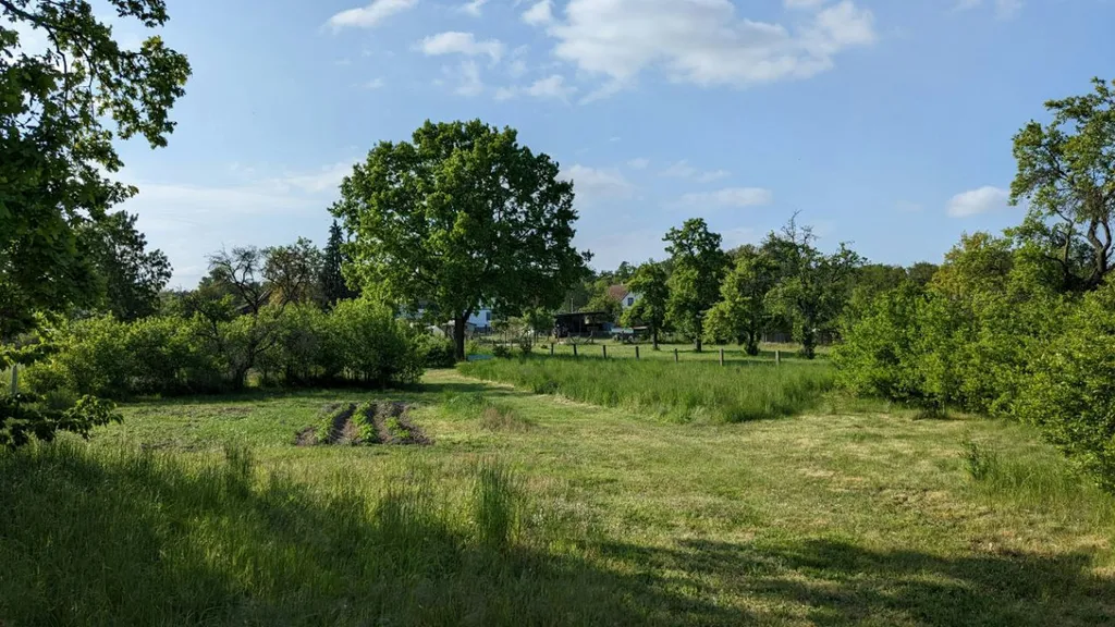 Sommerlaune-Erlebe die Milchstraße!