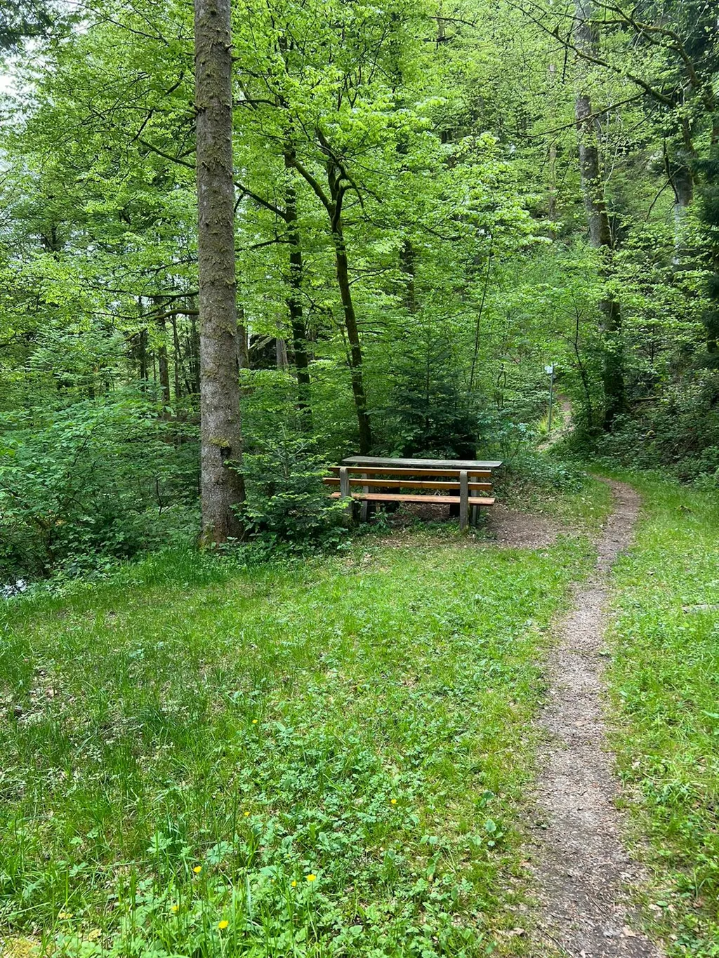 One-Night-Camp Höllbach