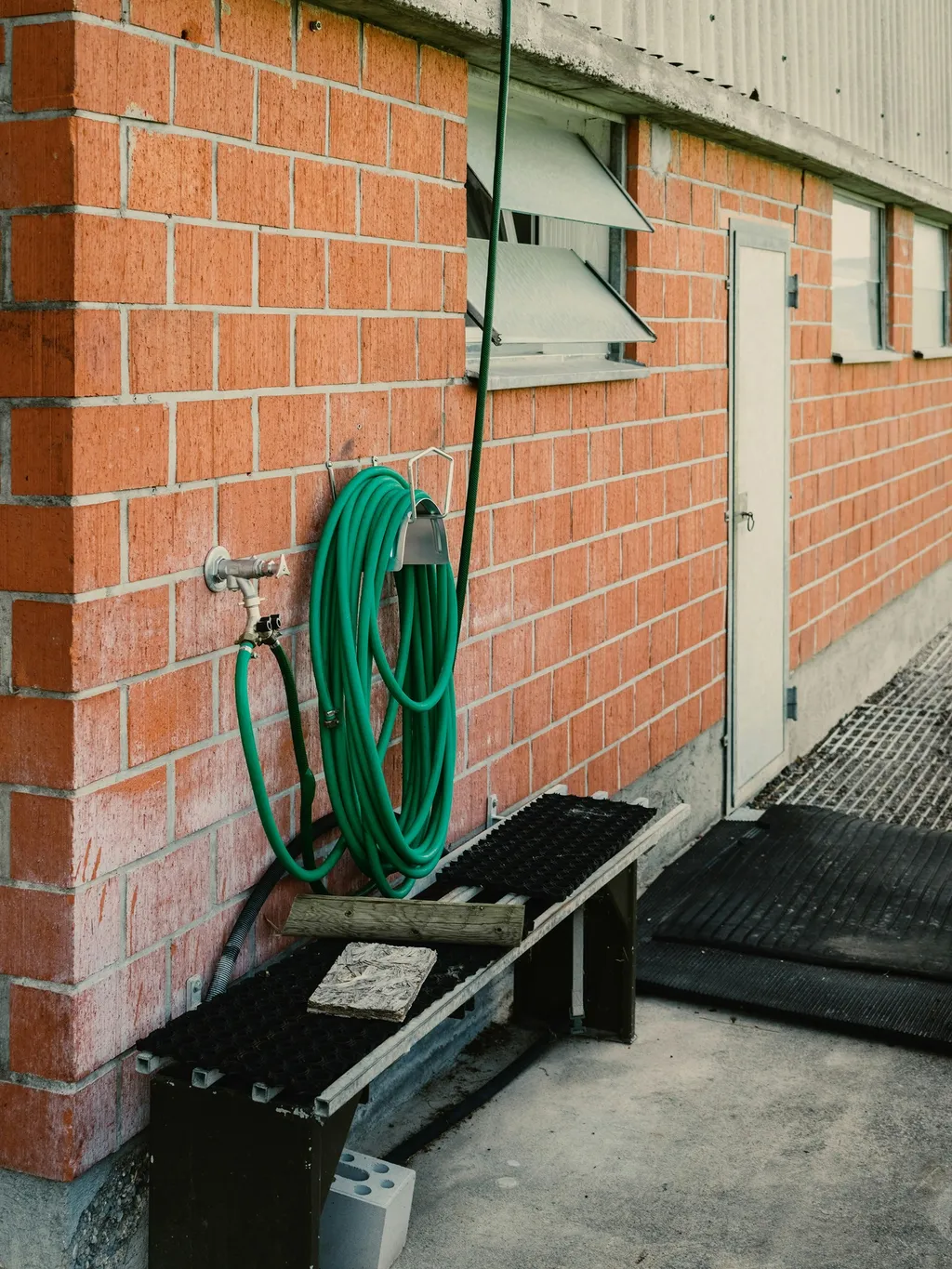Beim Weingut Altendorf - am Rebberg