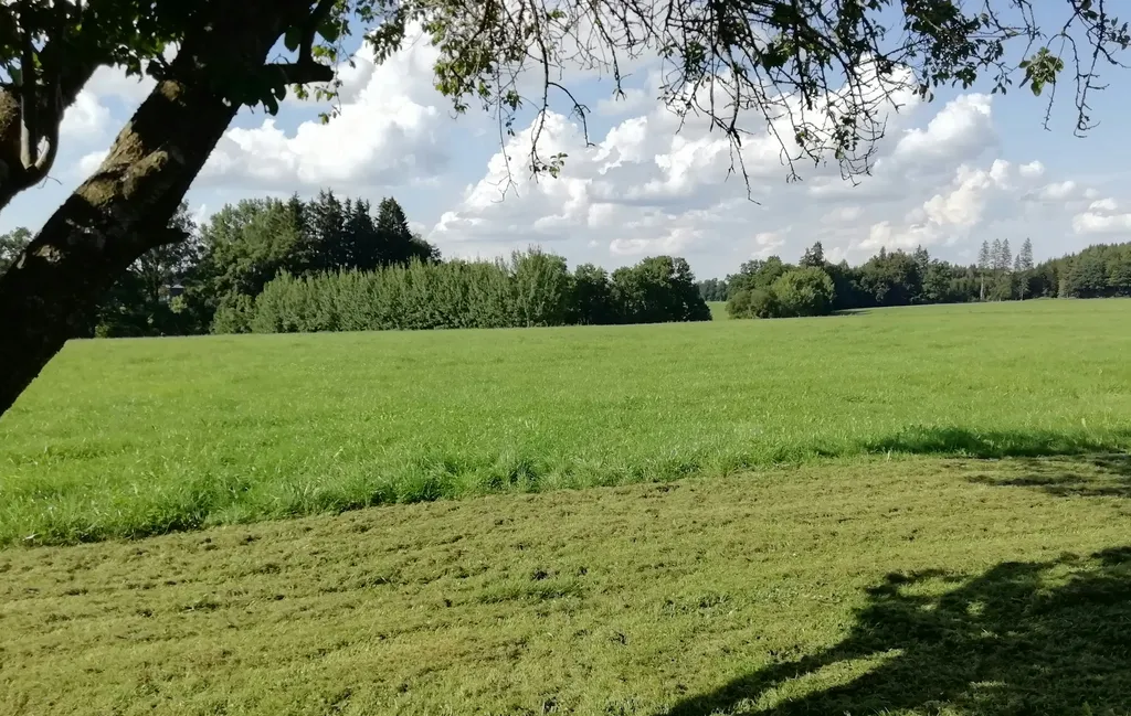 Camping mitten auf der Obstwiese