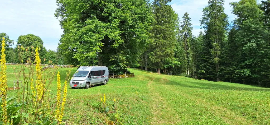 Bild von Andrea für den Spot 587