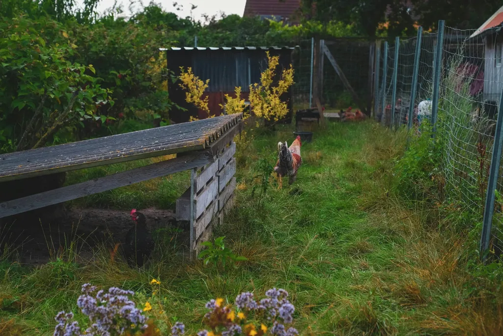 Obstwiese in Ostseenähe bei Wismar
