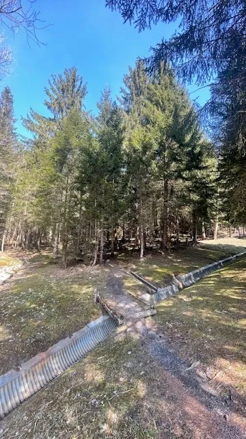 Stellplatz direkt bei der Ibergeregg Passstrasse