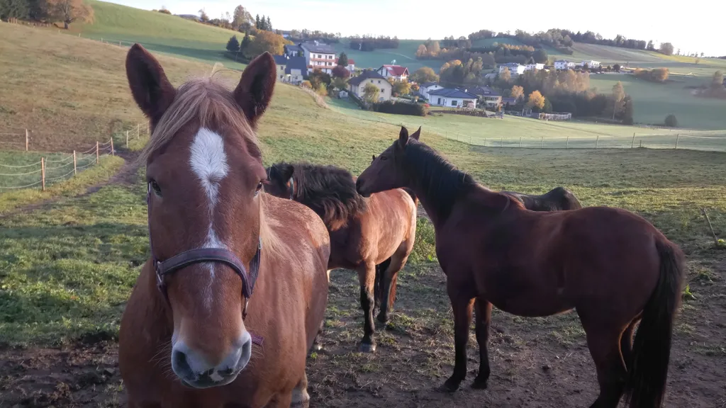 Bild von Norbert für den Spot 2785