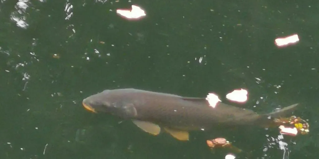 Campingplatz Steinbruch Bayern