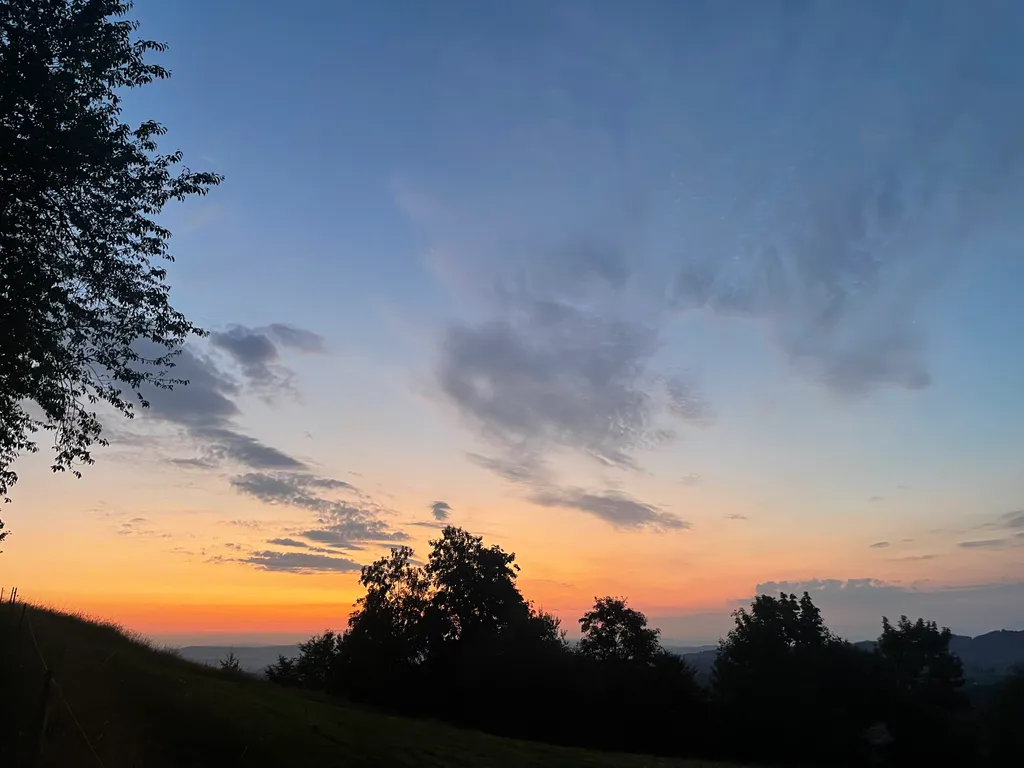 Bild von Tamara & Hampi für den Spot 364