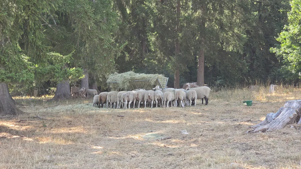 Bild von Mathieu für den Spot 135