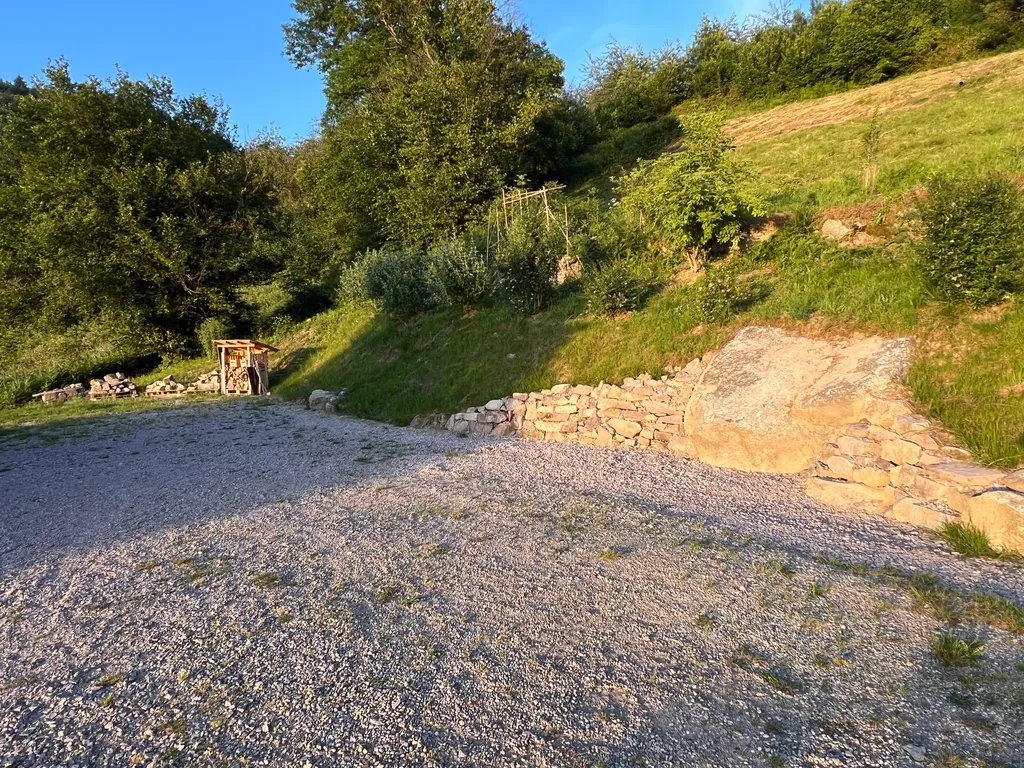 Trockenmauer - ein Paradies für Eidechsen