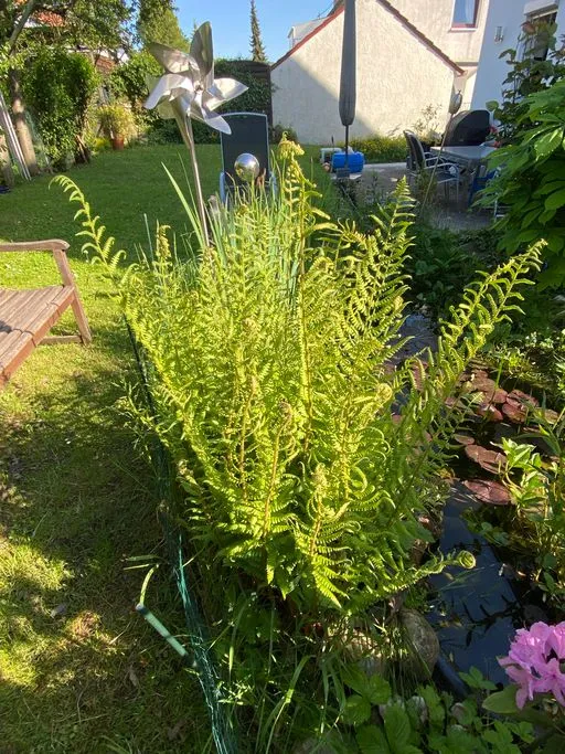 Stellplatz in Metzingen (Wohngebiet)