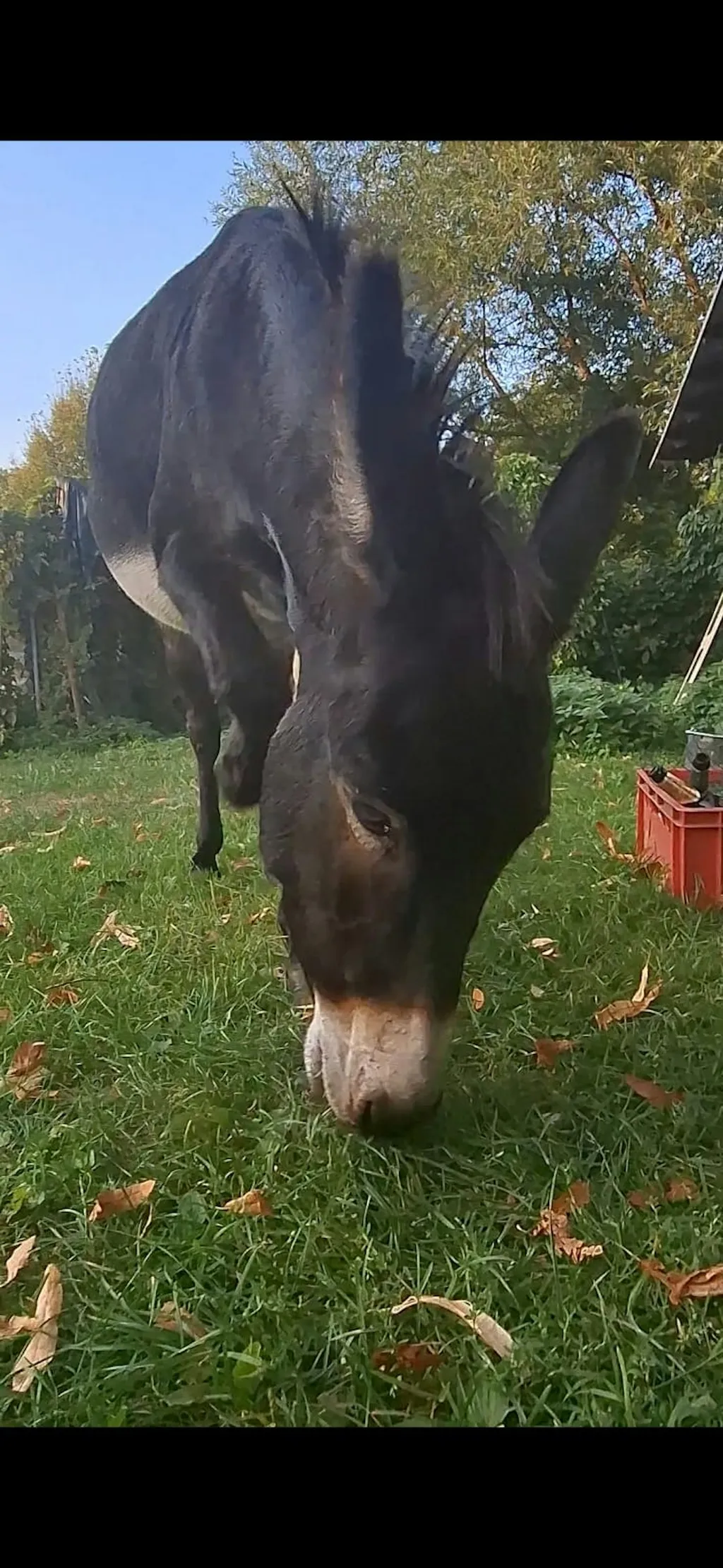 Hof, Tiere & pure Natur