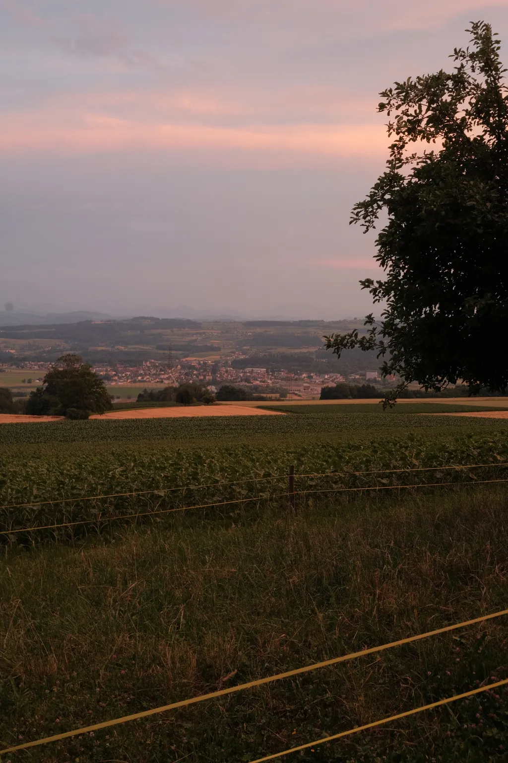 Bild von Hendrik für den Spot 3904
