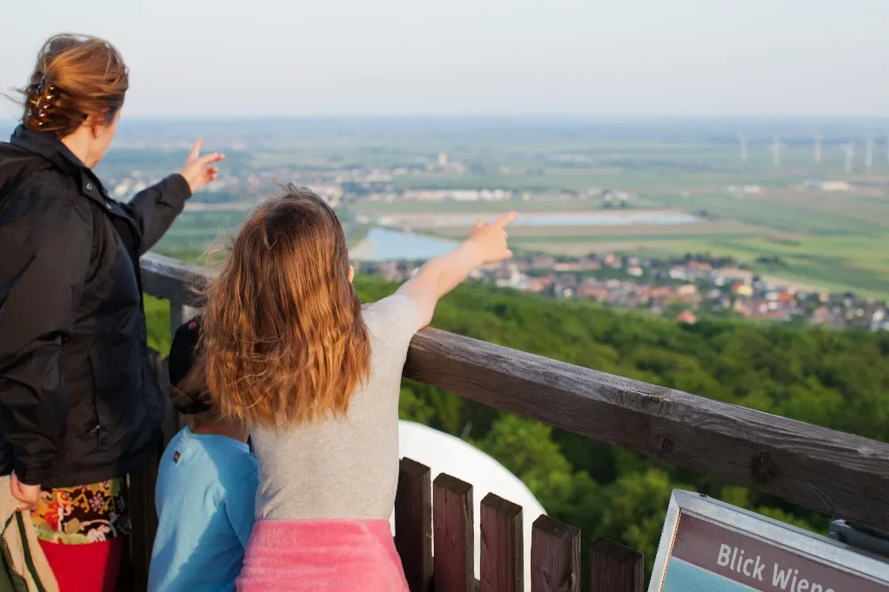 Blick vom Aussichtsturm Königswarte