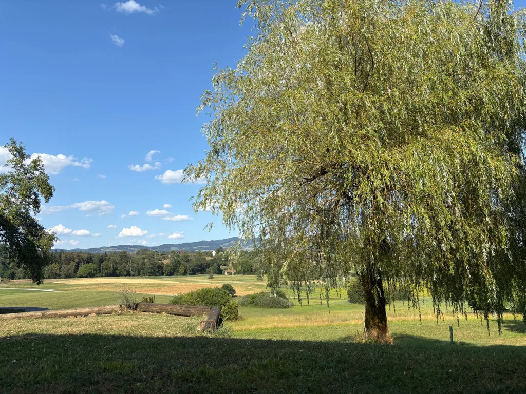 Bild von Anne für den Spot 895