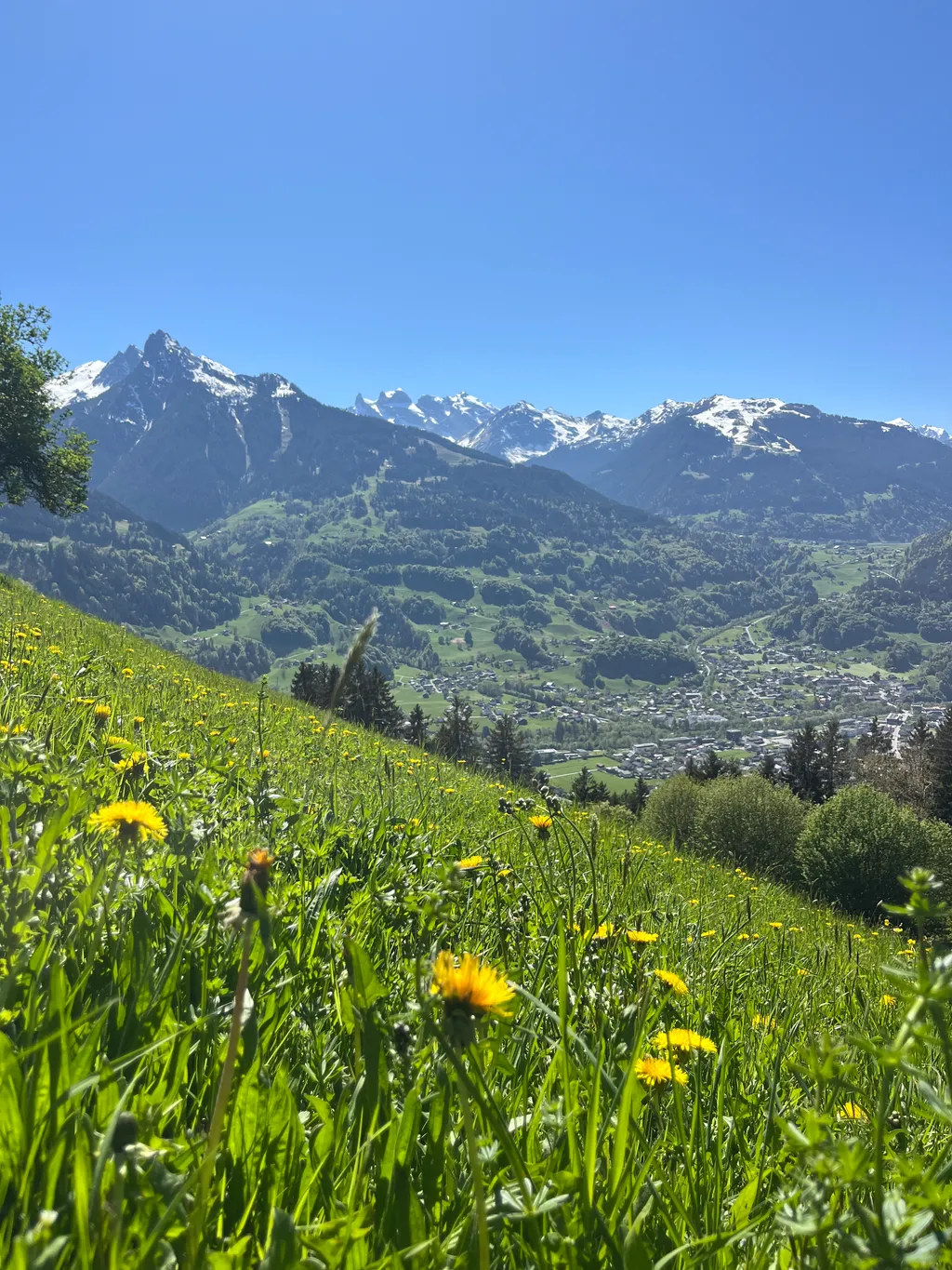 Bild von Vladislava für den Spot 517