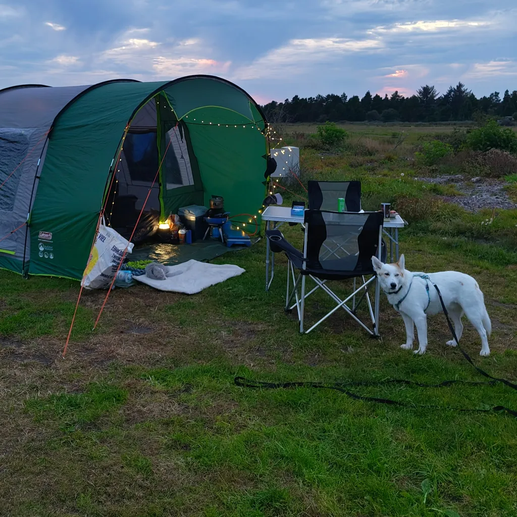 Profilbild von Cédric