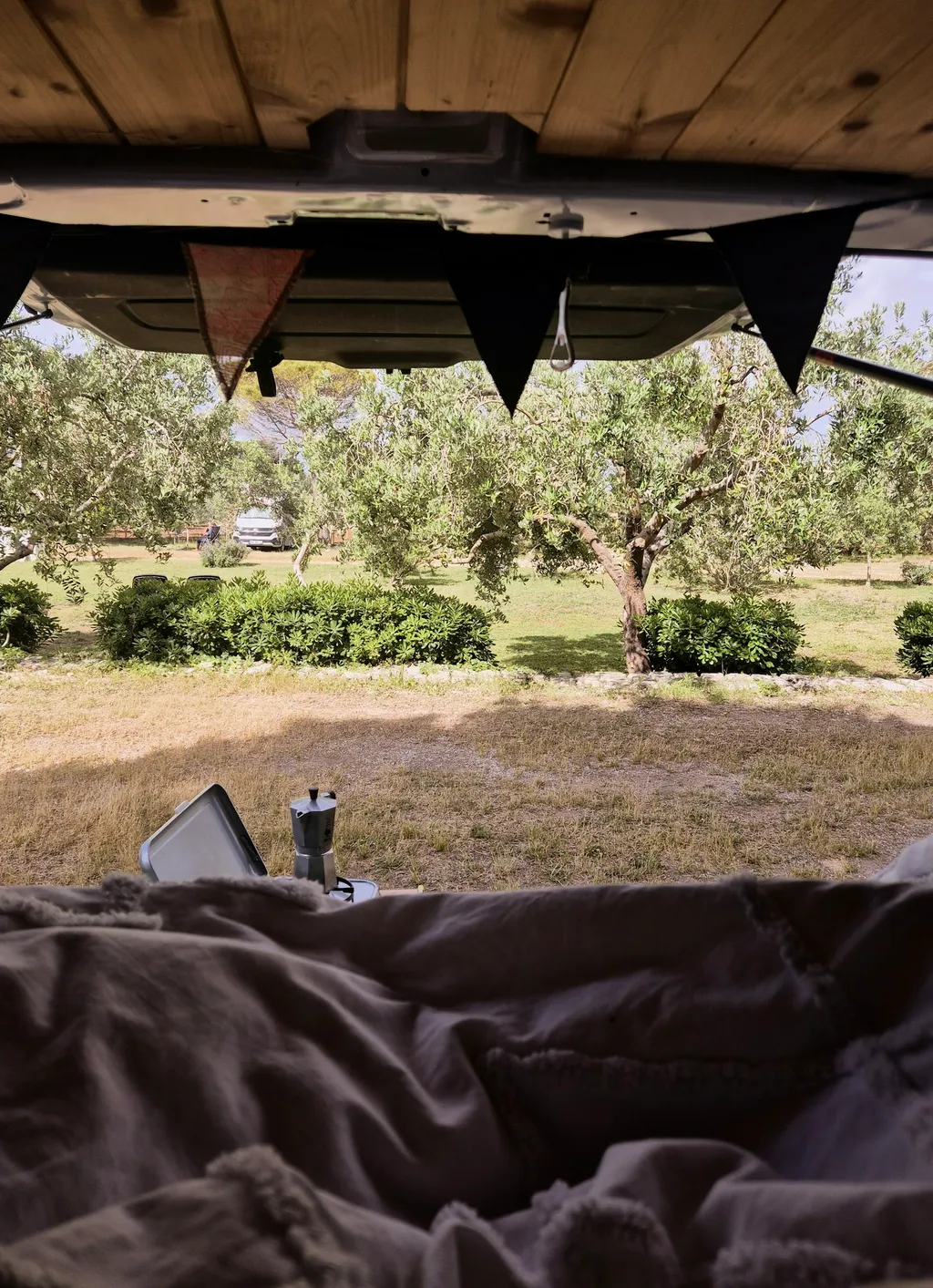 Profilbild von Fabienne