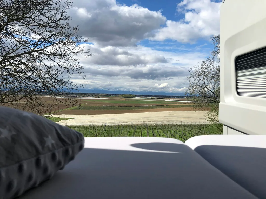 Bad Krozinger Weinberge