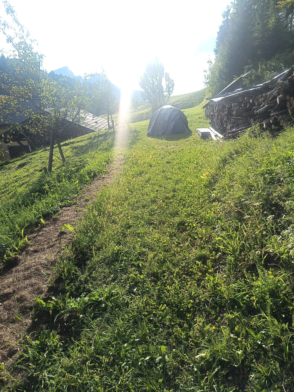 Image by Sylva for spot 3520