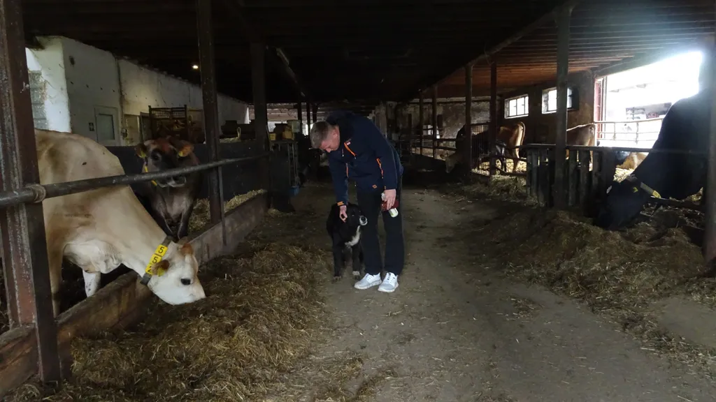 Bild von Sascha für den Spot 1560