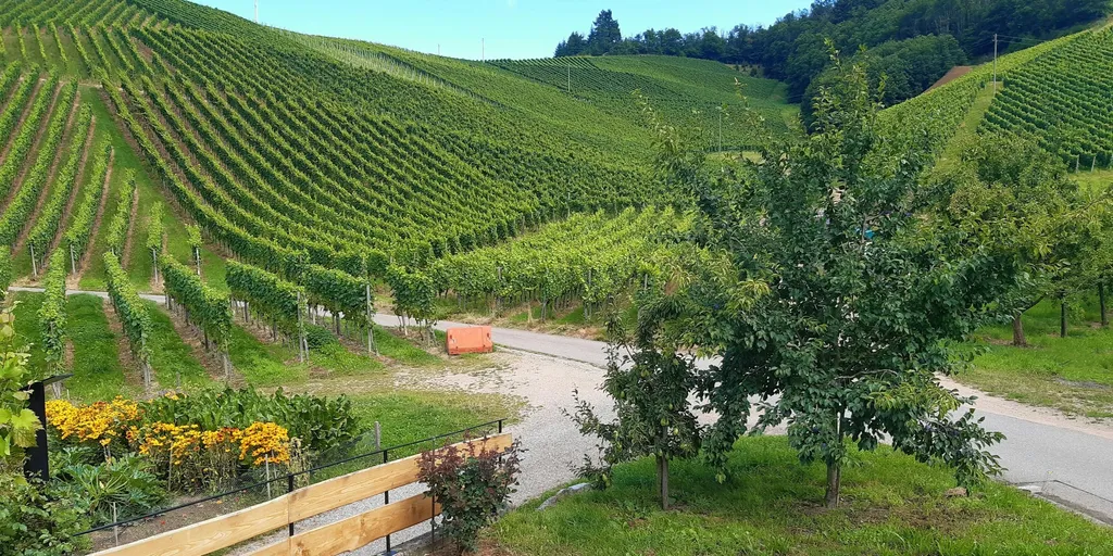 Stellplatz am Winzerhof