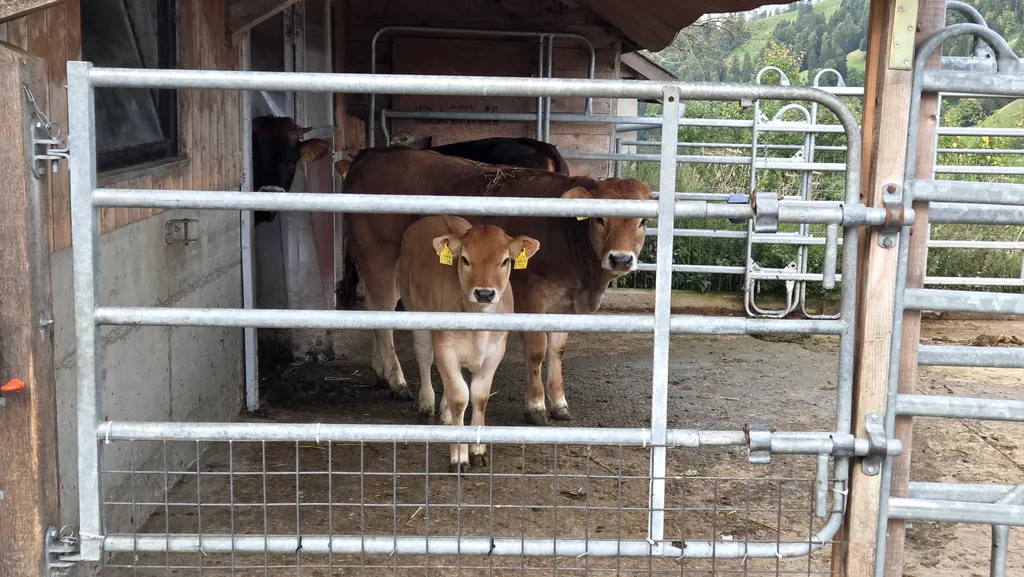 Bild von Sara für den Spot 956