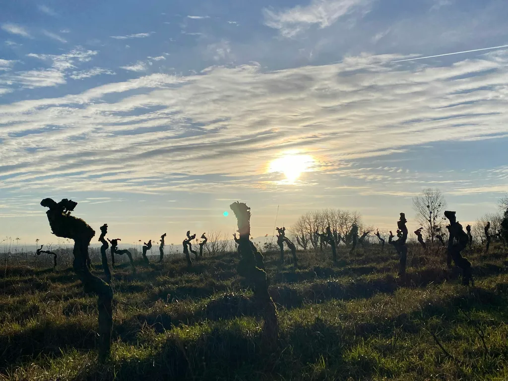 Profilbild von Silke