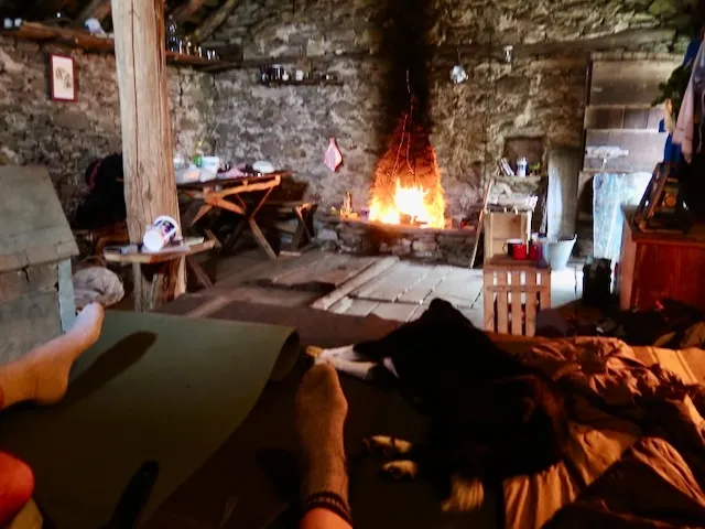 Der Blick aus dem Bett