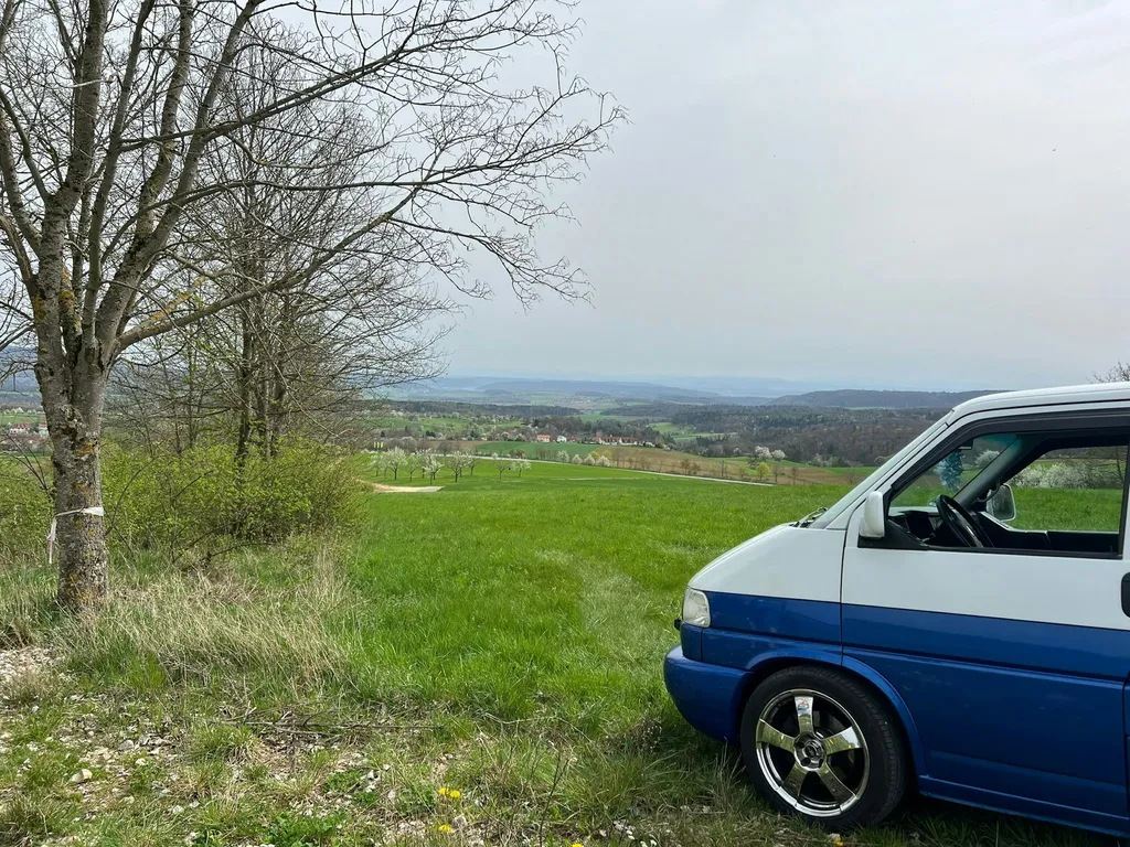 Wiese mit Fernblick in die Alpen