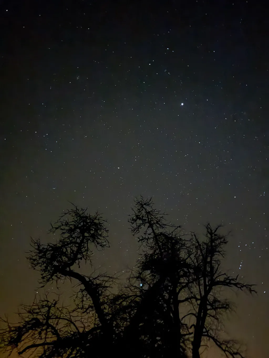 Bild von Michel für den Spot 4394