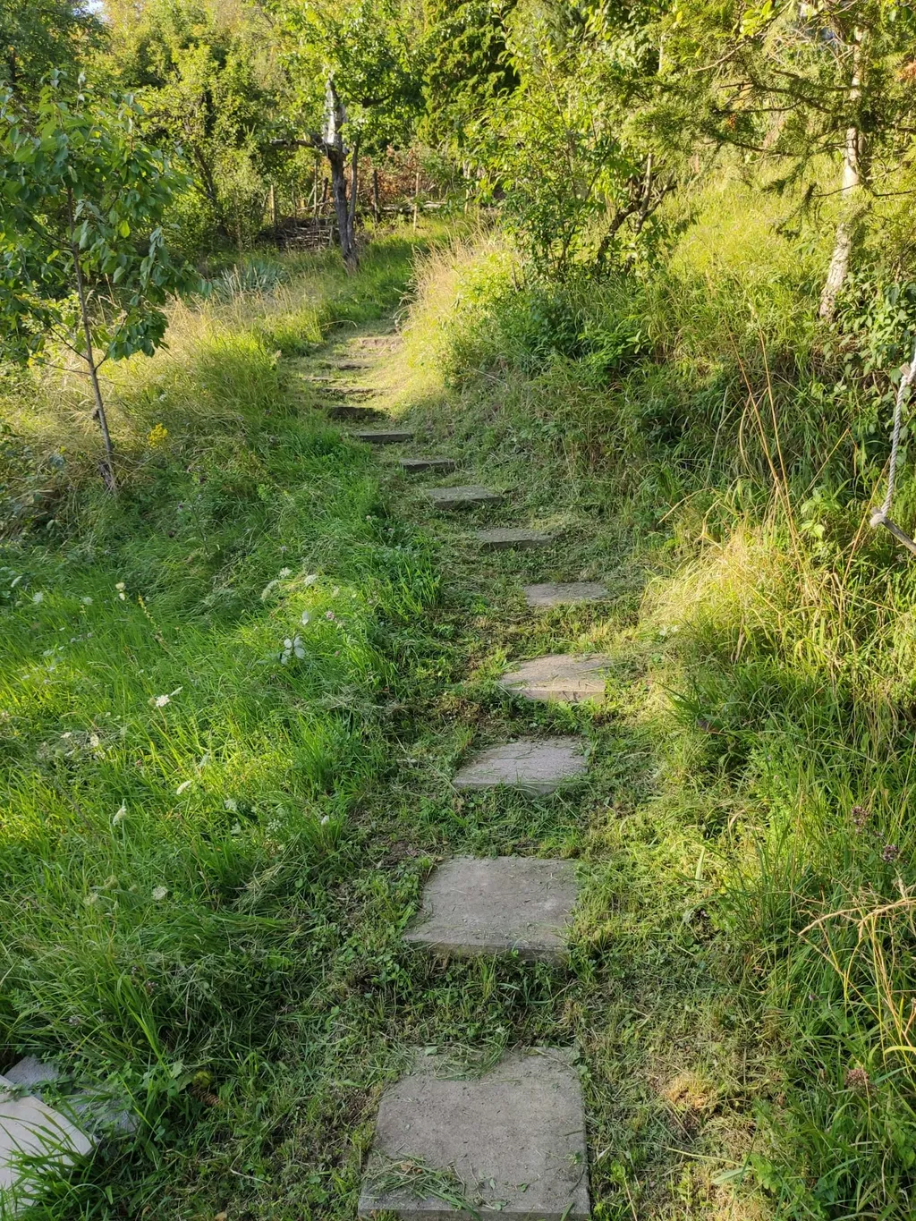 Urige Hütte mit tollem Weitblick