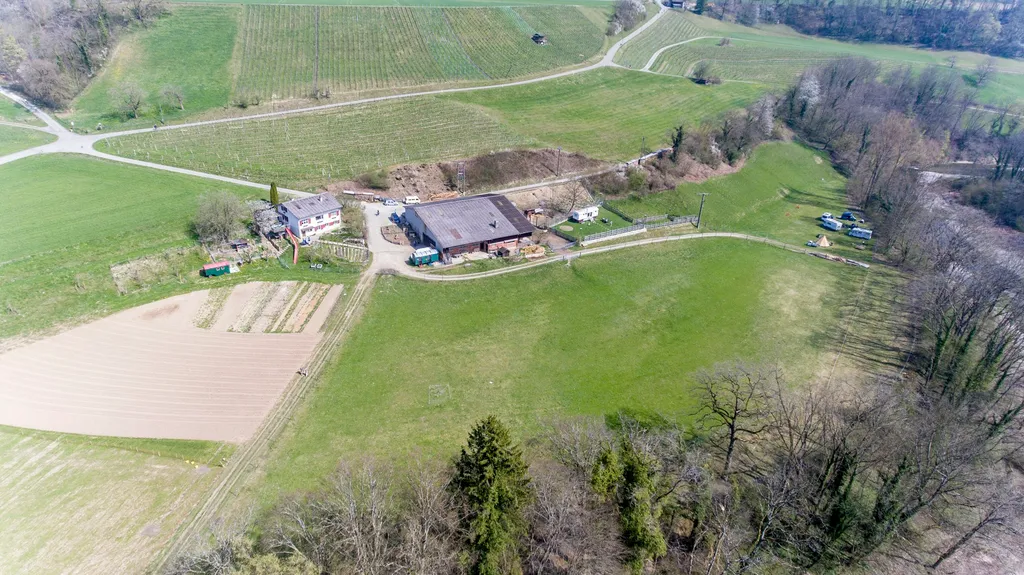 Hof Wyden zwischen Töss und Rhein