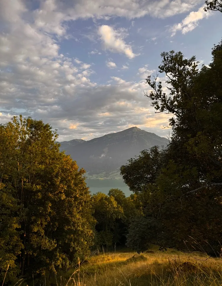 Bild von Nour für den Spot 1217