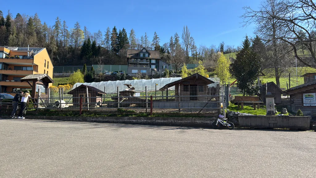 Image by Martina for spot 247