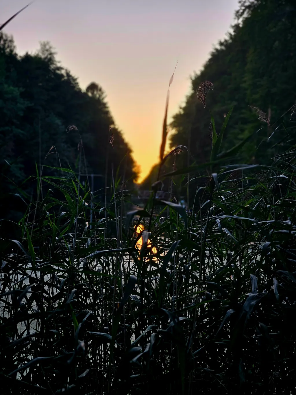 Bild von Wladimir für den Spot 1549