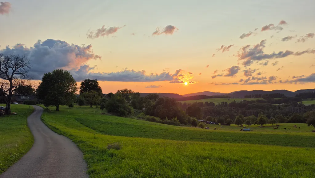 Bild von Roland für den Spot 1704