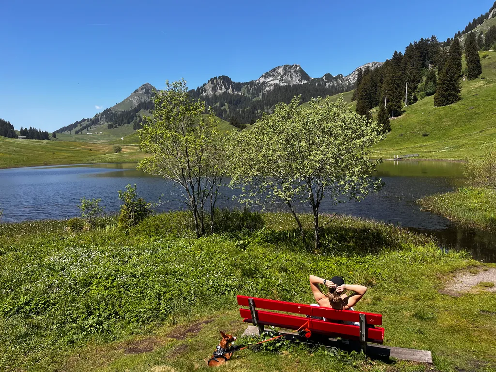 Bild von Melanie für den Spot 4431