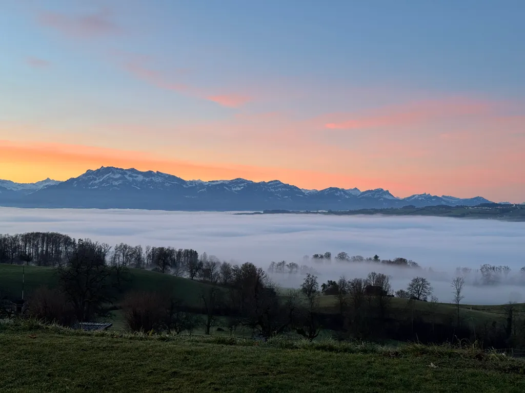Pferdeweide Hof mit Aussicht