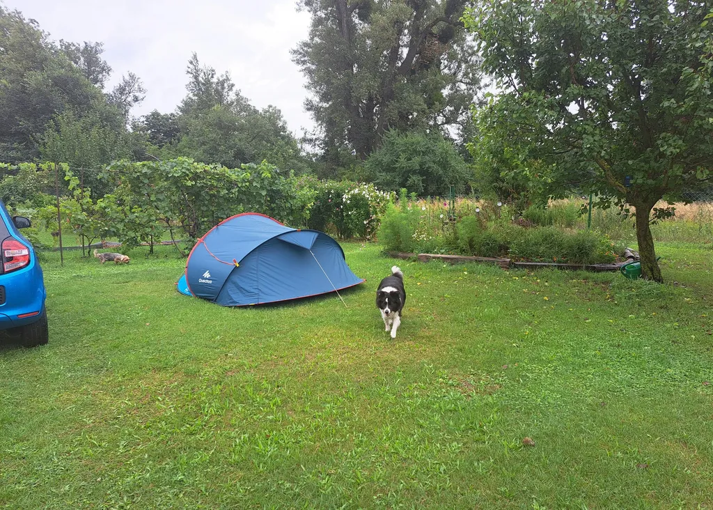 Natur pur in Wien, bei der Lobau