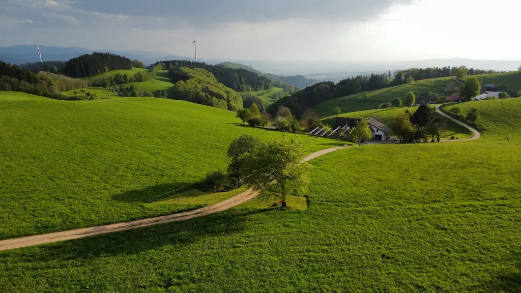 Am Kandelhöhenweg Auf der Wiese