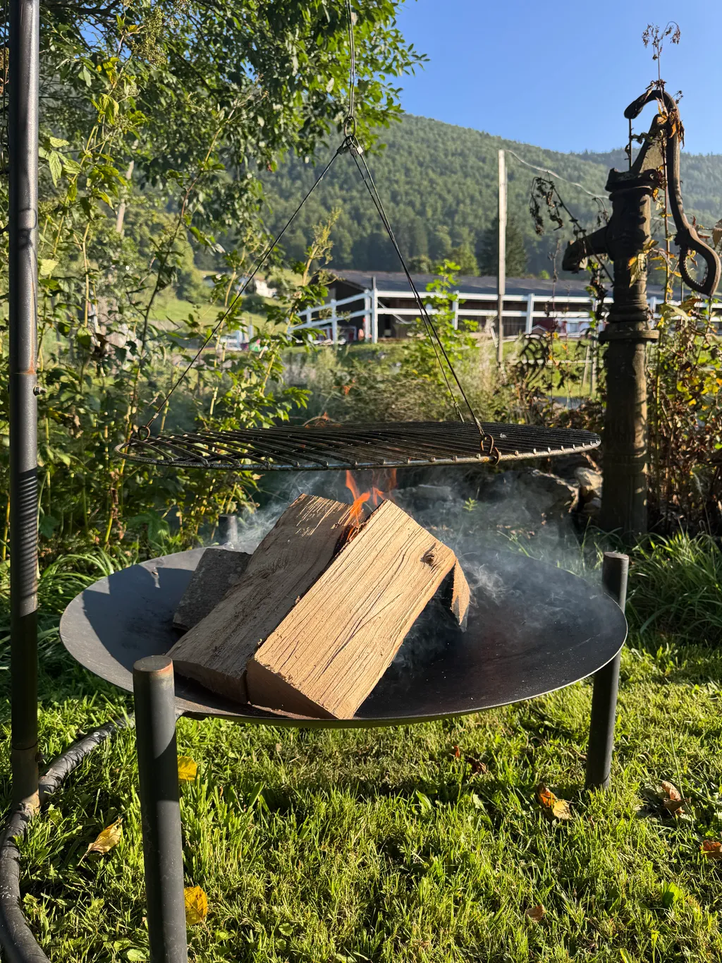 Bild von Sylvia für den Spot 250