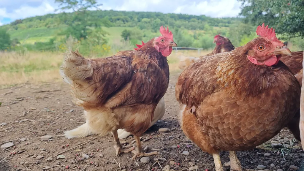 Bild von Jana für den Spot 1436